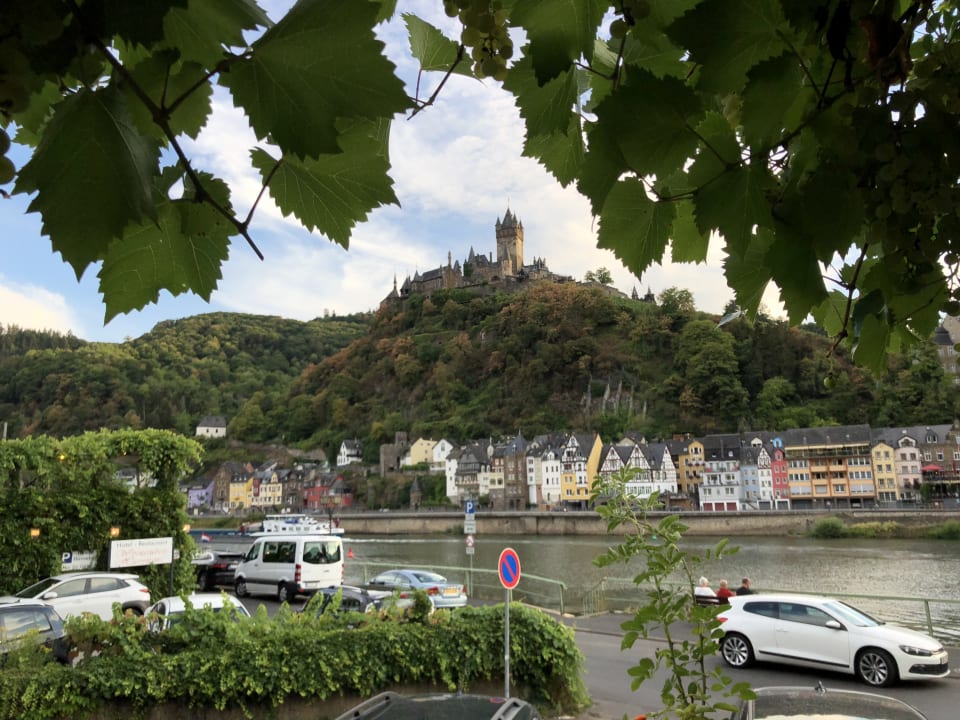 Ausblick Moselstern Hotel Brixiade & Triton
