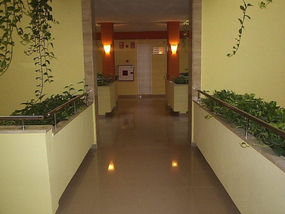 Hotelflur Grupotel Natura Playa