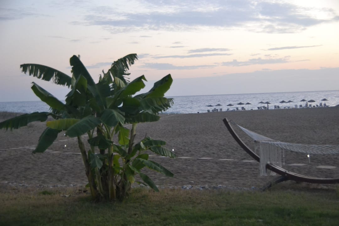Blick von der Terrasse Skys Hotel