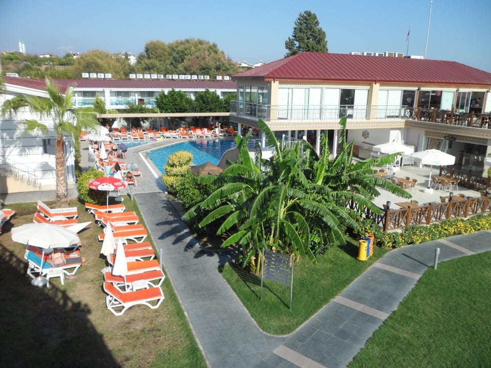 Versteckt hinter der Bananenstaude: Wasserrutsche Sun Club Hotel