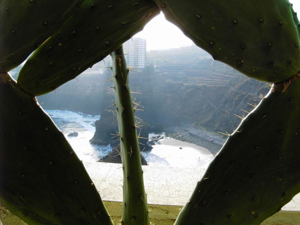 Blick vom Balkon Richtung Strand Apartments Playa de los Roques
