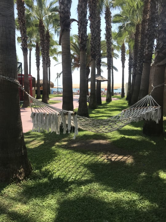 Gartenanlage Miramare Queen Hotel