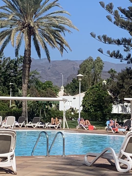 Pool Bungalows Cordial Sandy Golf