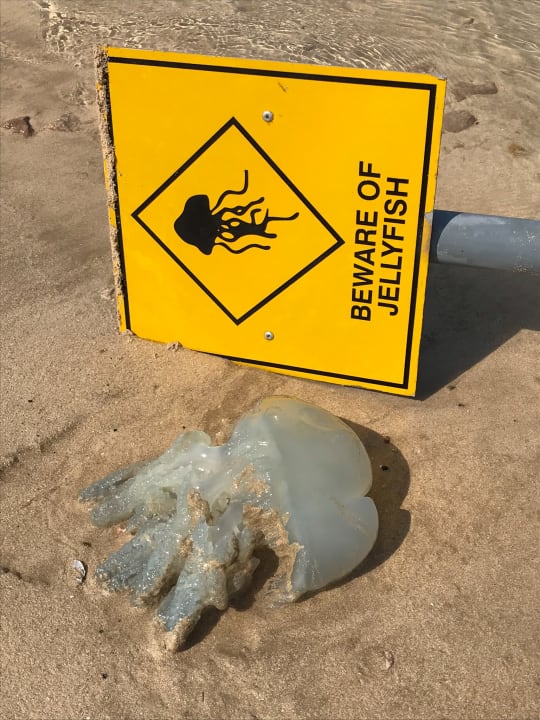 Strand Radisson Blu Hotel & Resort Abu Dhabi Corniche