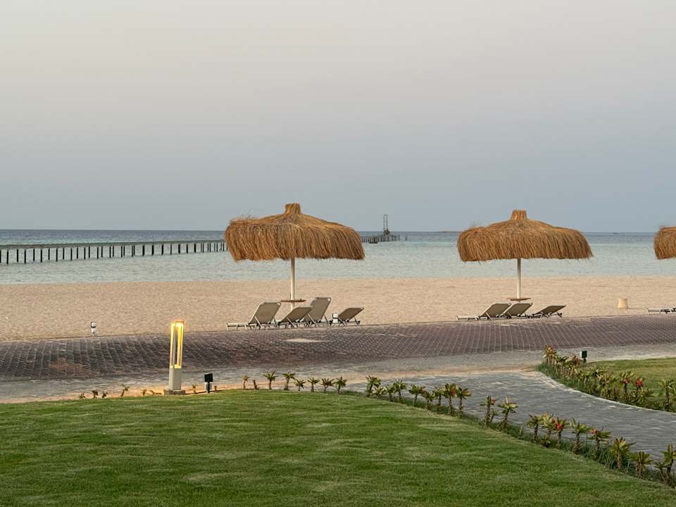 Strand JAZ Elite Asteria