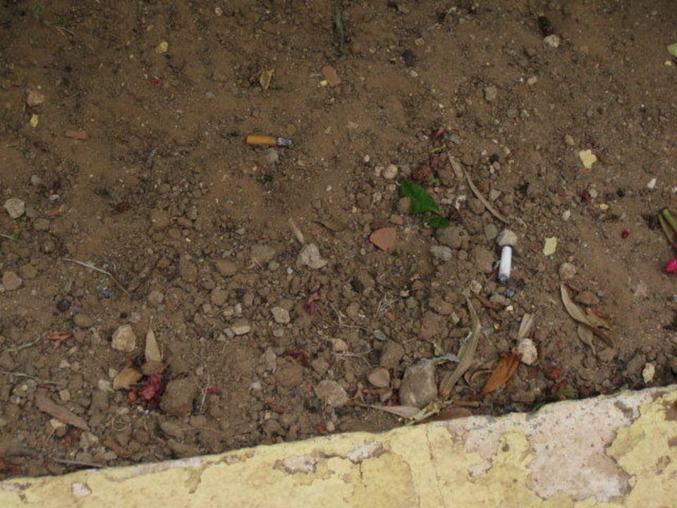 Beet im Hotel Bereich Samira Club