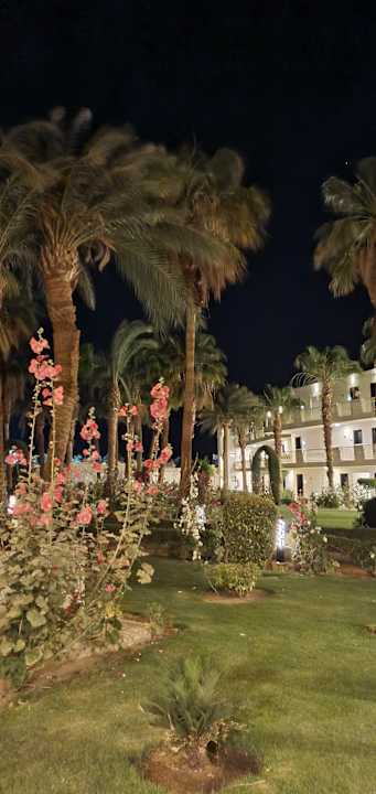 Gartenanlage Amarina Abu Soma Resort & Aquapark
