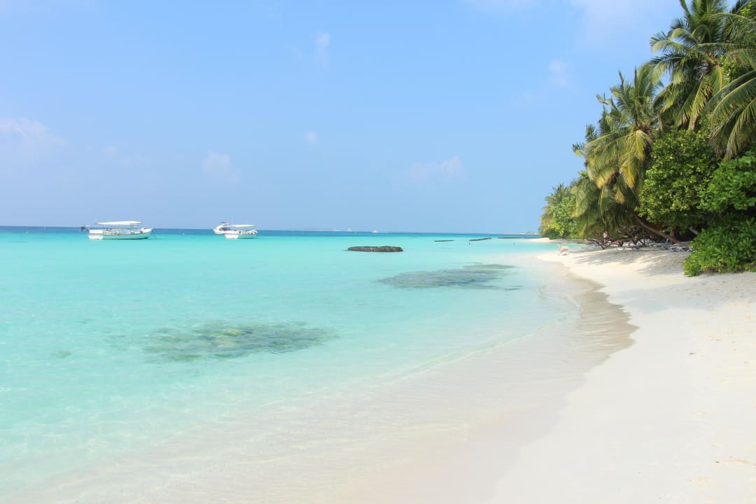 Traumstrand an der Lagune Kuramathi Maldives