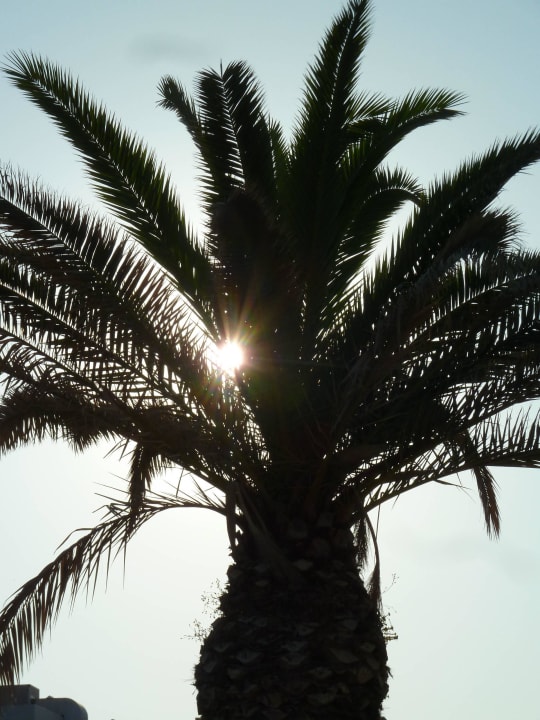 Wow! Civitel Creta Beach