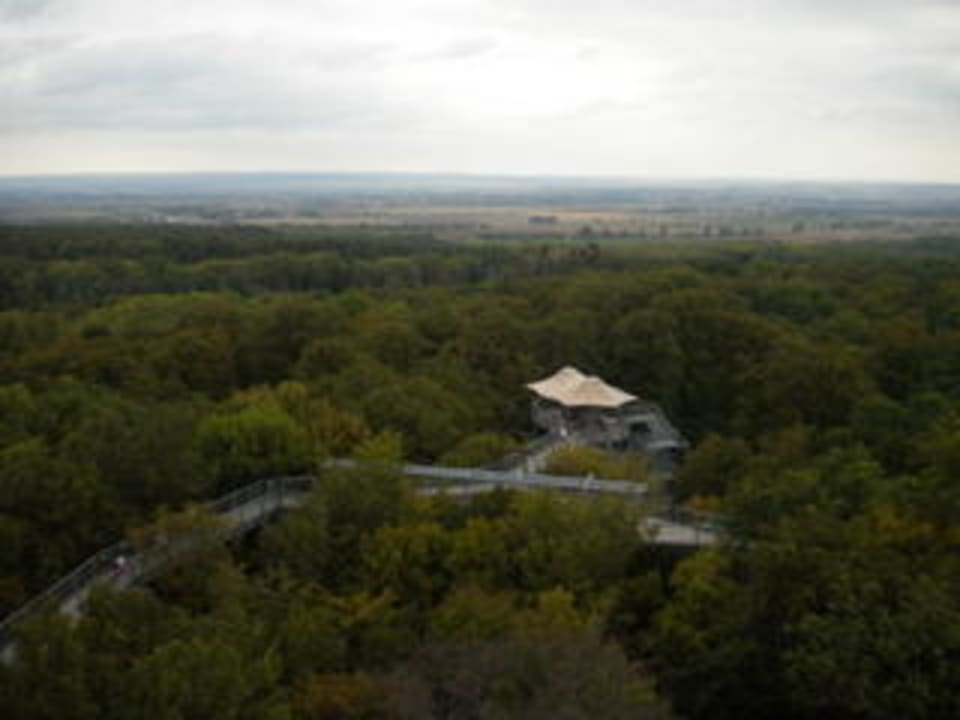 Nationalpark Hainich - Baumkronenpfad Schlosshotel am Hainich