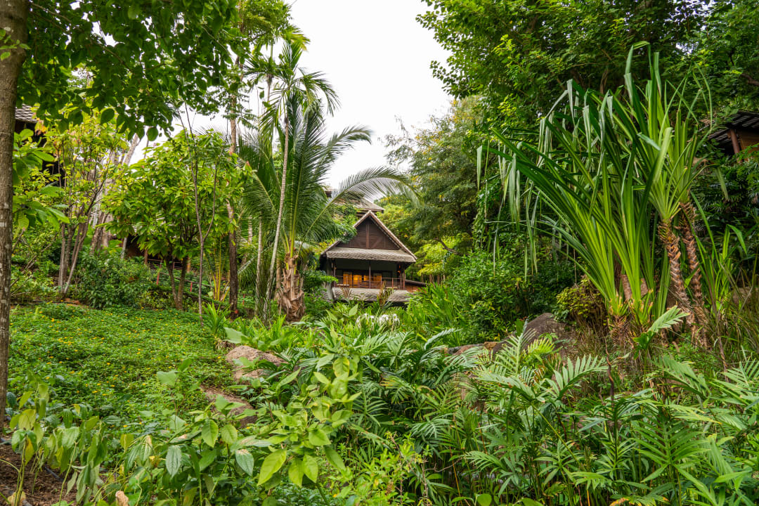 Gartenanlage Kamalaya Wellness Sanctuary & Holistic Spa Resort