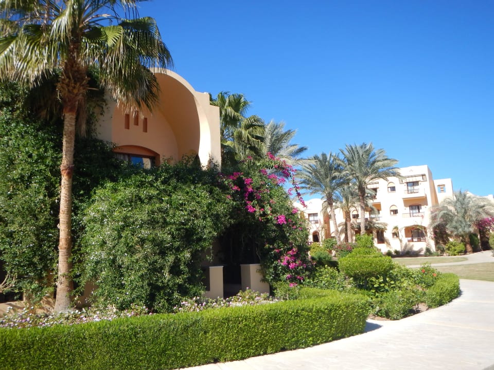 Gartenanlage mit Zimmern Steigenberger Coraya Beach - Adults only