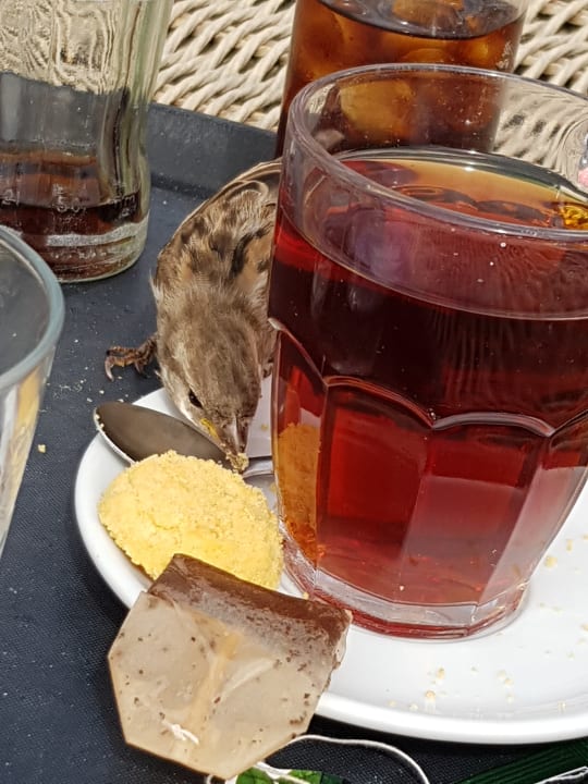 Sonstiges At Sea Apartments