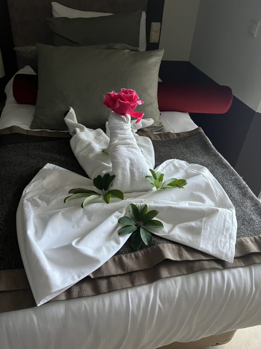 Zimmer PALOMA Perissia