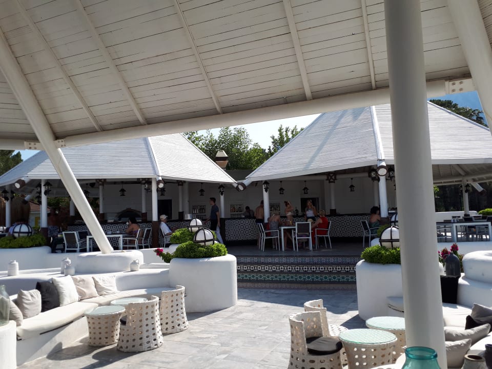 Gastro Balmy Foresta