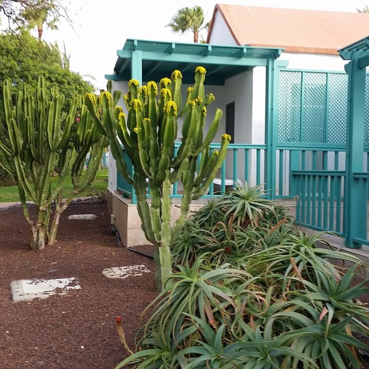 Gartenanlage Aldiana Club Fuerteventura