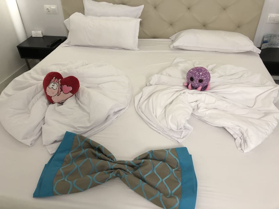 Zimmer Sentido Marea