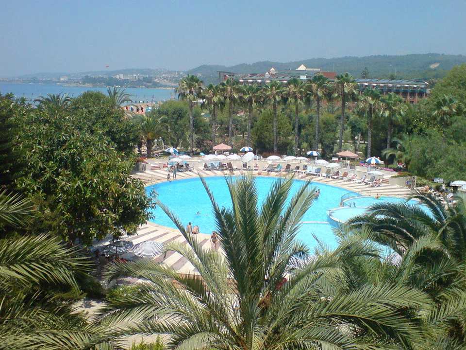 Der Pool vom Balkon aus Top Hotel