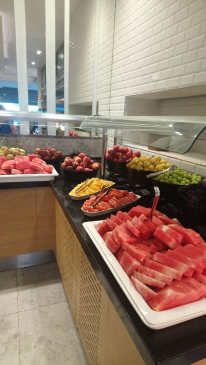 Gastro Seashell Vega