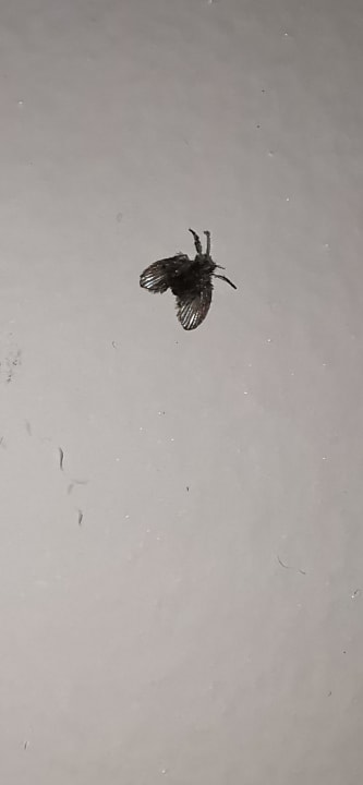 Zimmer Mare Boutique Hotel