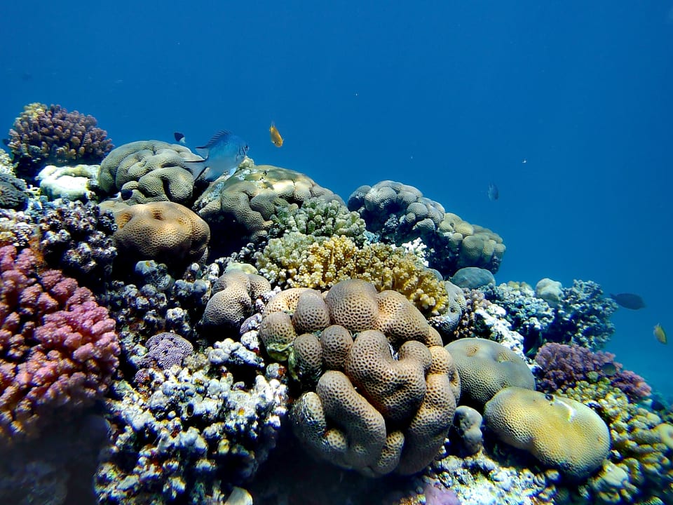 Strand Makadi Spa - Adults only