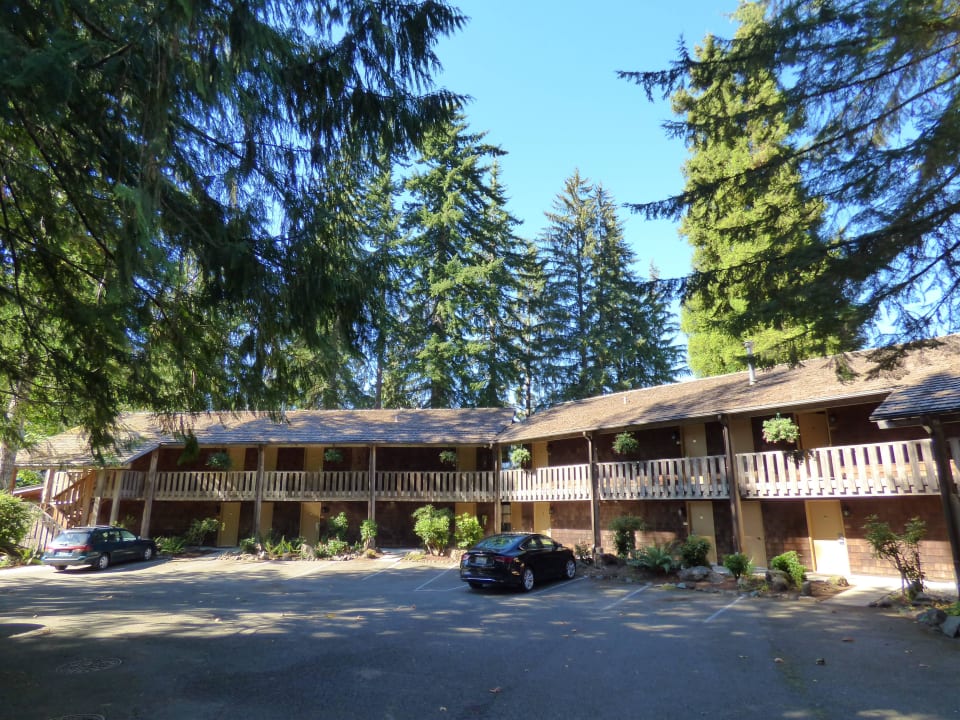 Seitenflügel (Fireplace Rooms) Lake Quinault Lodge