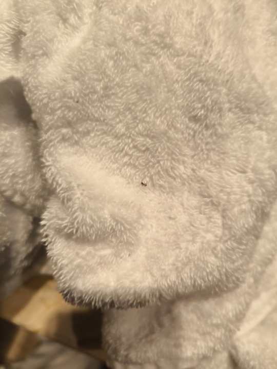 Zimmer Hotel Catalonia Majórica