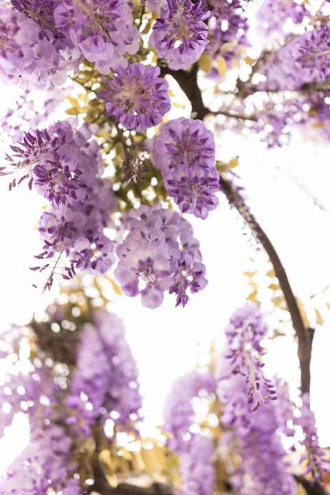 Sonstiges Weingarten - Rooms & Breakfast