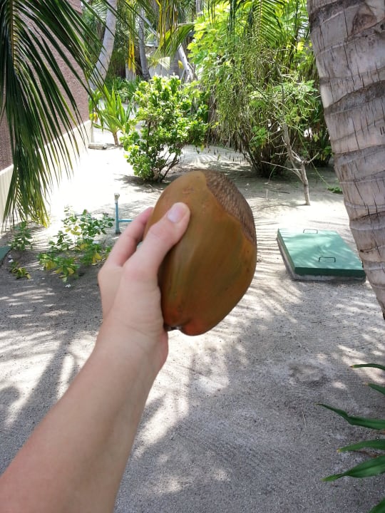 Dicke Dinger  Adaaran Select Meedhupparu Island Resort - Premium All Inclusive