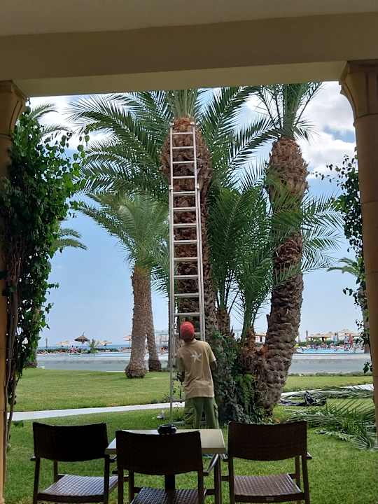 Außenansicht Iberostar Waves Averroes