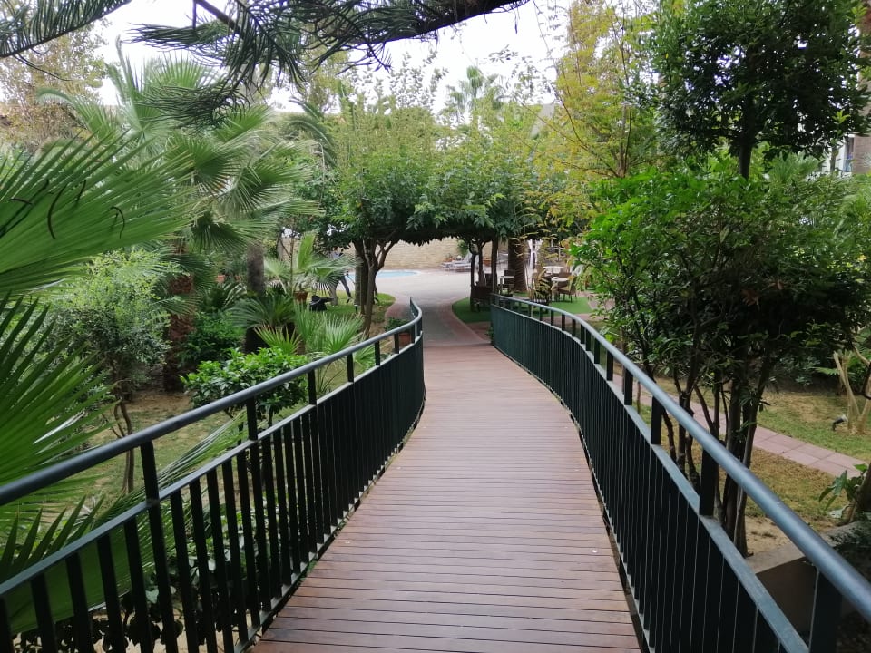 Gartenanlage Hotel Minos Mare Beach