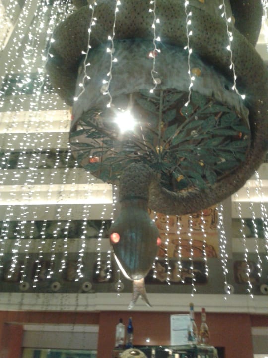 Beleuchtete Schlange in der Bar Iberostar Selection Paraiso Maya Suites