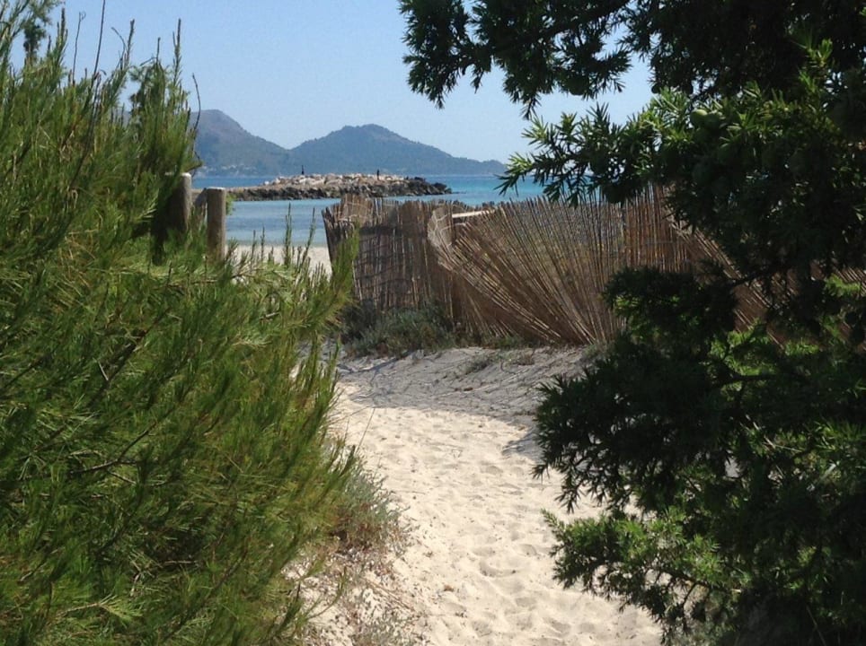 Strandweg durch die Dühnen Grupotel Parc Natural & Spa
