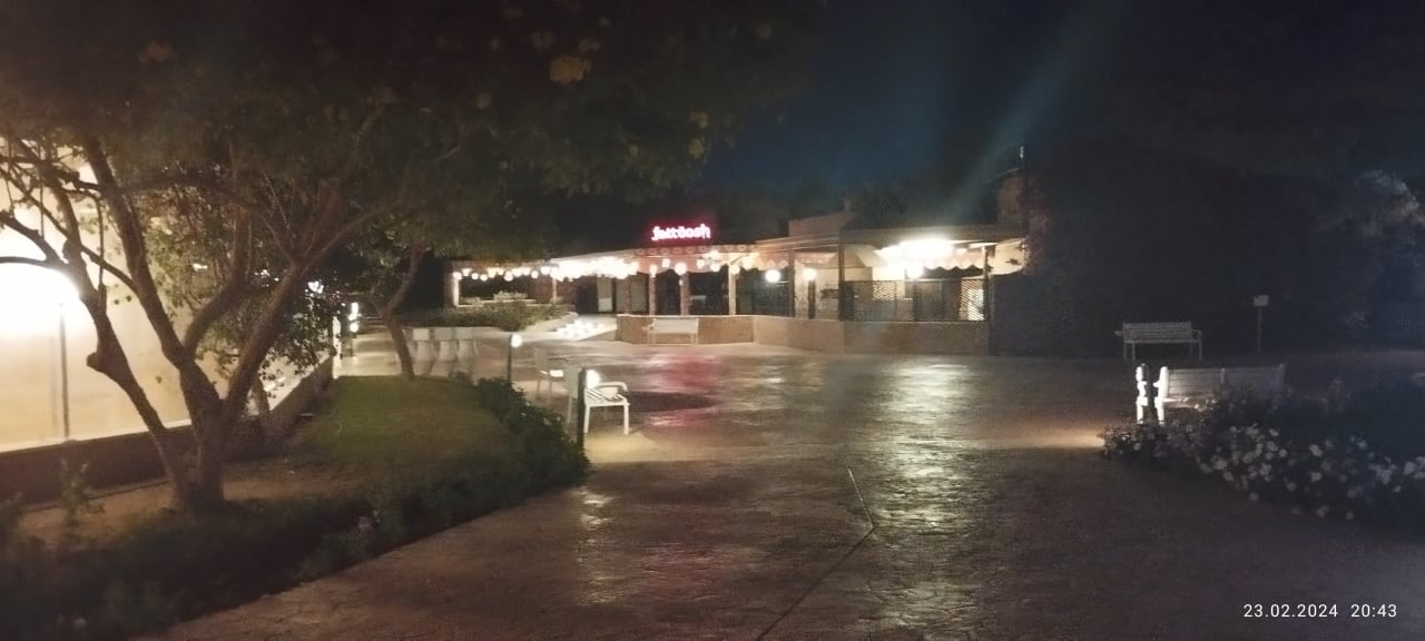 Sonstiges Desert Rose