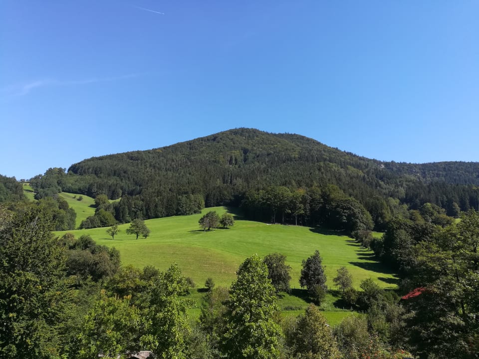 Ausblick OptimaMed Gesundheitsresort Salzerbad
