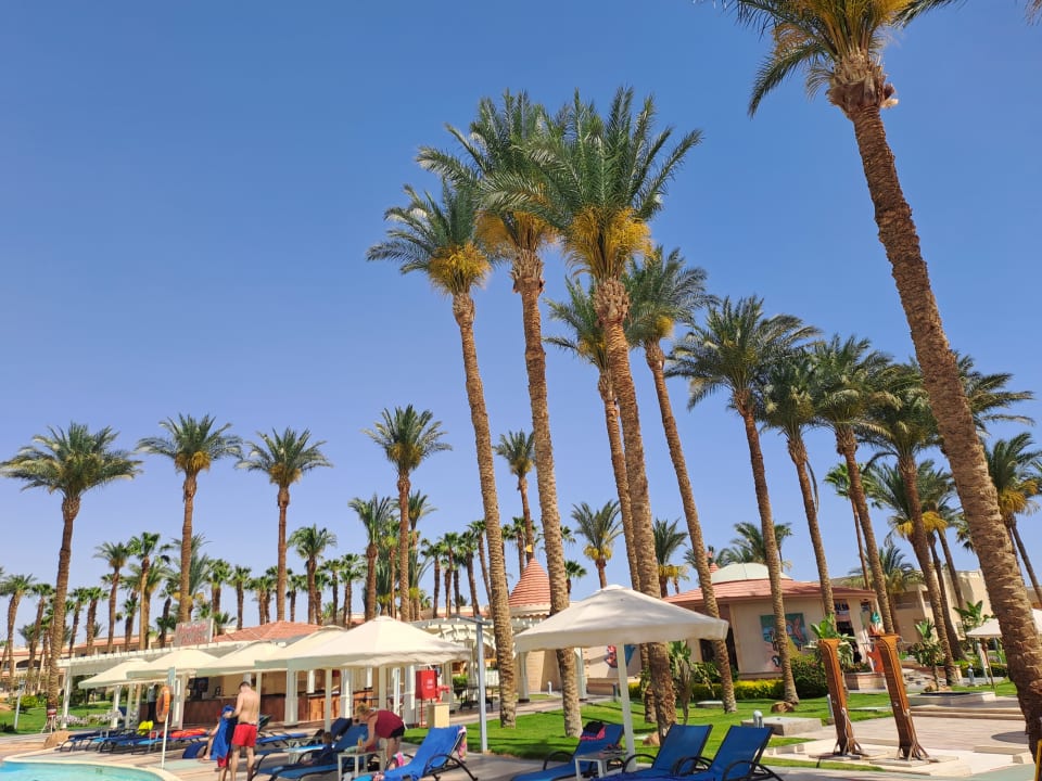 Gartenanlage Beach Albatros Resort