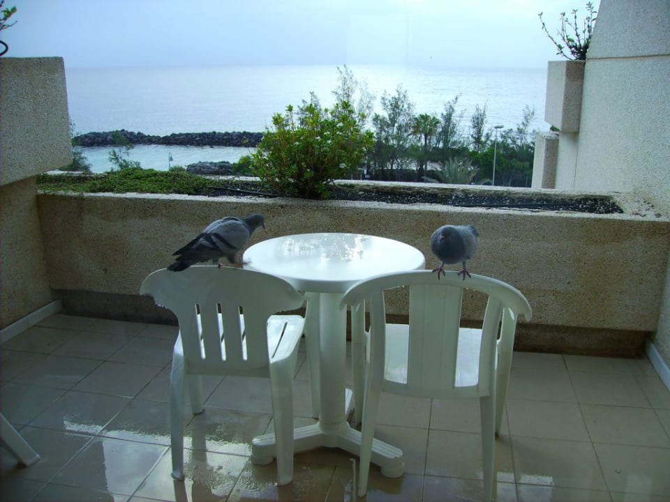 Besuch auf dem Balkon Hotel Grand Teguise Playa