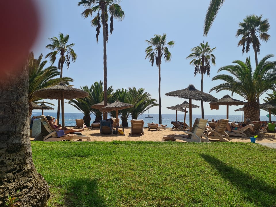 Gartenanlage Hotel Riu Palace Tenerife