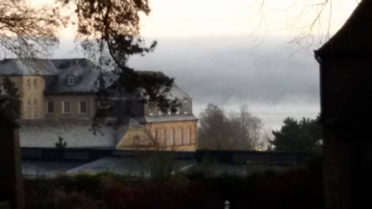 Blick vom Wald (mit See im Hintergrund) Seehotel Maria Laach