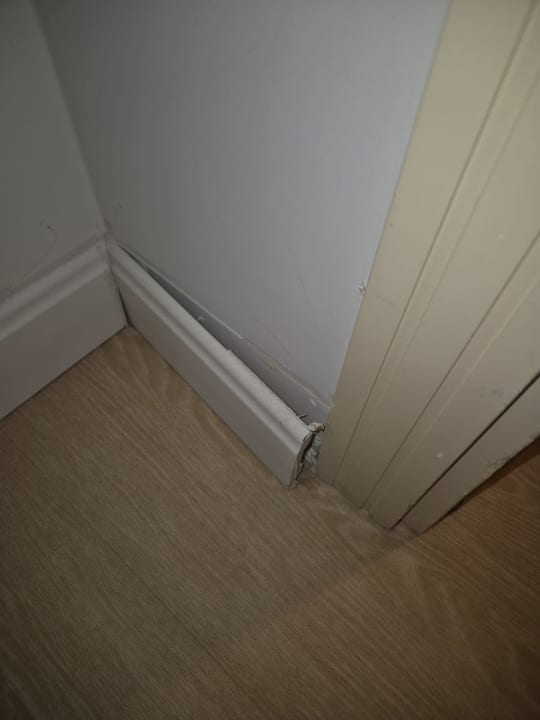 Zimmer Marvida Family Eco