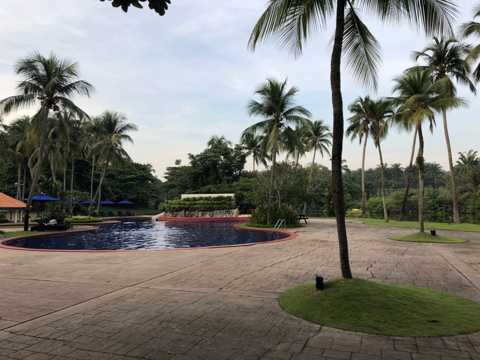 Pool The Saujana Hotel Kuala Lumpur