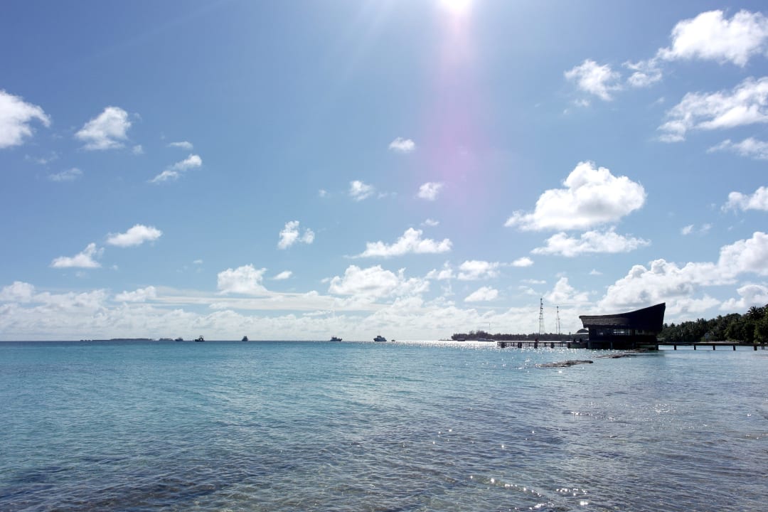 Hausreef mit vielen Fischen  Kuramathi Maldives