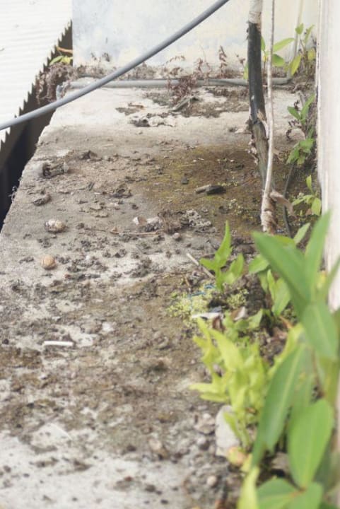 Balkon Rückansicht Villa Shanti Beach