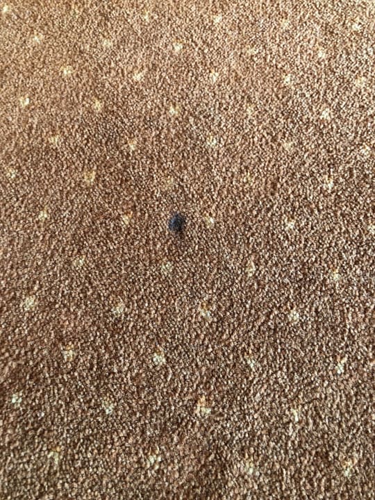 Zimmer Hotel Gran Belveder