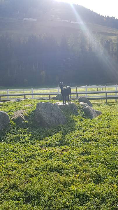 Gartenanlage Kinderhotel Felben