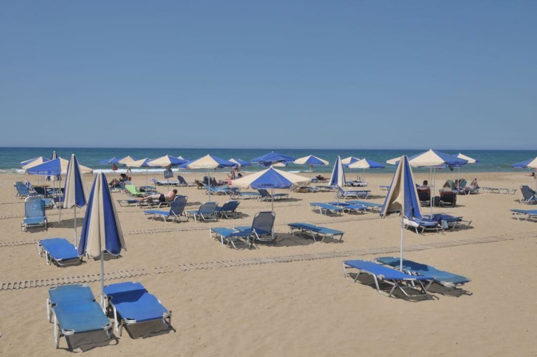 Beach Delfina Tropic Beach