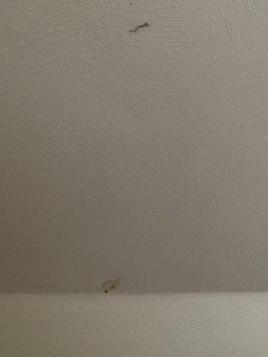 Zimmer BollAnts Spa im Park