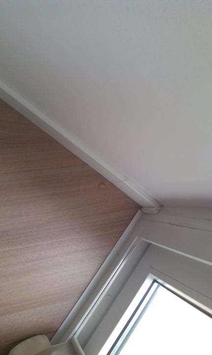 Nochmal das Gummitier, muss schon etwas älter sein Hipotels Hipocampo Playa