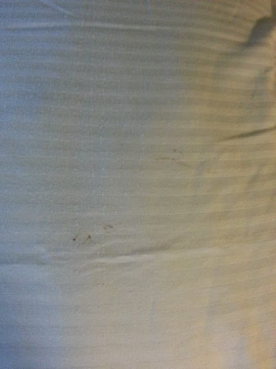 Zimmer Grand Palladium Select Bávaro Resort & Spa