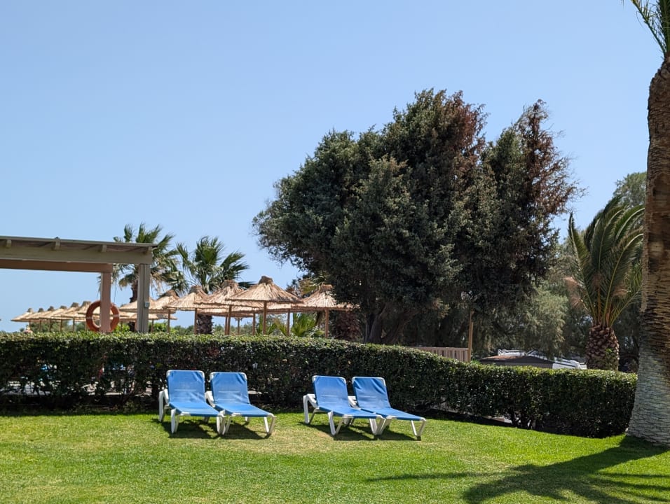 Gartenanlage Apollonia Beach Resort & Spa